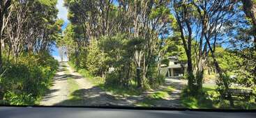 Das Bild zeigt eine geteilte Schotterauffahrt, die von hohen Bäumen und Grünflächen umgeben ist. An einem sonnigen Tag ist ein Haus teilweise durch die Bäume zu sehen.