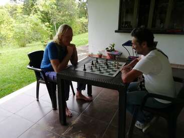 Deux personnes jouent aux échecs sur une terrasse couverte avec de la verdure en arrière-plan. Tous deux sont assis, absorbés par le jeu, profitant d'un moment paisible en plein air.
