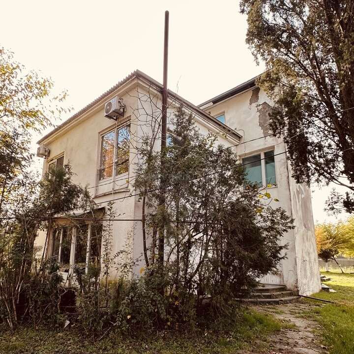 Ein altes, zweistöckiges Haus mit abblätternder Farbe, umgeben von überwucherten Büschen und Bäumen. Das Sonnenlicht dringt durch und unterstreicht die vernachlässigte, aber friedliche Atmosphäre.
