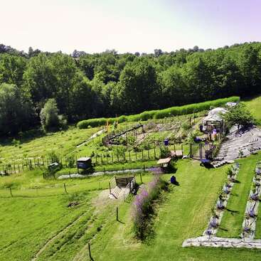Esta imagem mostra uma paisagem verde exuberante com um jardim bem organizado, várias fileiras de plantas, um banco e é cercada por uma floresta densa e um céu claro.