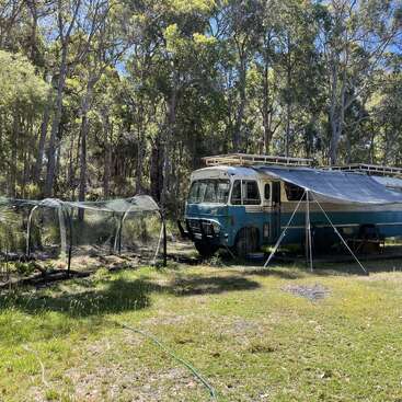 A vintage blue and white bus sits in a sunny forest clearing, with an awning extended. Nearby, there’s a small greenhouse structure and green grass everywhere.