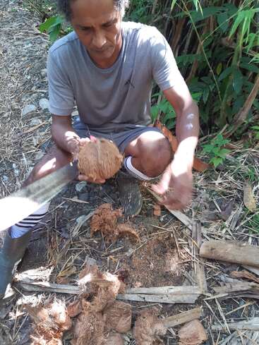 The image depicts a man sitting on the ground, using a machete to open a coconut, with the coconut's shell scattered around him.
