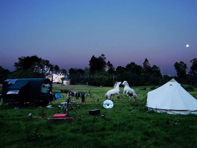 L'image représente une scène rurale sereine au crépuscule, avec deux chevaux blancs, une tente et un camping-car au milieu d'une végétation luxuriante, avec une pleine lune qui brille dans le ciel.