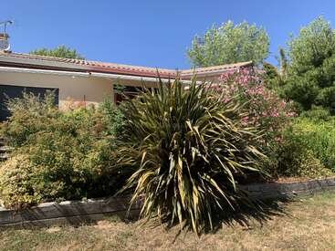 A single-story house with a tiled roof is partially visible, surrounded by lush green shrubs, spiky plants, and blooming pink flowers under a clear blue sky.