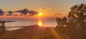 The image shows a breathtaking sunset over a calm sea, with golden sunlight reflecting on the water, framed by silhouetted trees and soft, dramatic clouds.