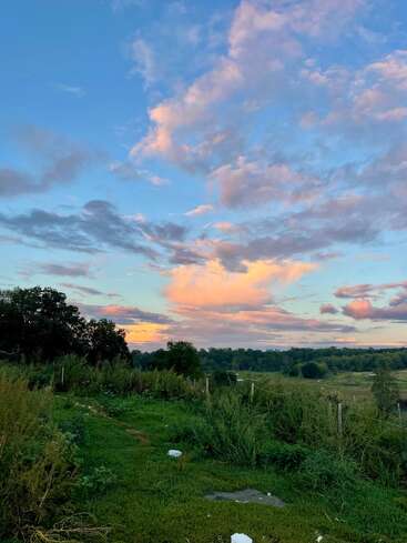 Un prado verde y frondoso bajo un cielo vespertino lleno de color. Las nubes rosadas y anaranjadas reflejan el sol poniente, mientras que los árboles y la hierba silvestre se extienden tranquilamente por el horizonte.