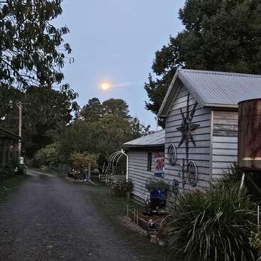 Uma casa rústica com telhado de zinco fica ao lado de um caminho de cascalho, cercada por árvores e plantas, sob um céu noturno resplandecente com uma lua brilhante.