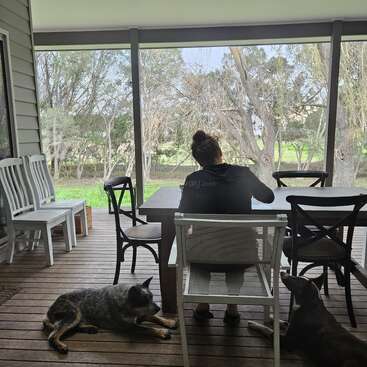 Uma pessoa está sentada em uma mesa ao ar livre, num deck de madeira, acompanhada por dois cães. Do lado de fora, dá pra ver várias cadeiras vazias e um jardim verdejante.