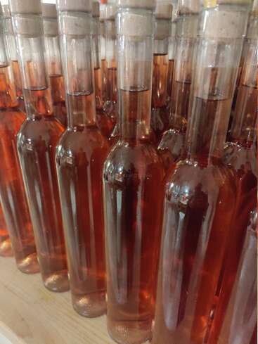 L'image montre une collection de bouteilles en verre remplies d'un liquide brun-rouge, disposées sur une surface en bois clair, probablement une étagère ou une table.