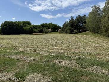 Um campo recém-cortado se estende sob um céu azul com nuvens espalhadas. Árvores e arbustos cercam o campo, com uma casa parcialmente escondida ao fundo.