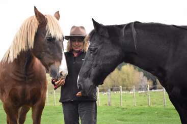 A woman wearing a hat stands outdoors, gently feeding two horses—one brown with a blonde mane, and one black—on a grassy field with a fenced background.