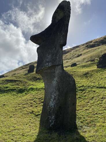 Une grande statue de Moai, usée par les intempéries, se dresse sur un terrain herbeux sous un ciel lumineux parsemé de nuages, jetant une ombre sur le paysage pittoresque des collines ondulantes de l'île de Pâques.