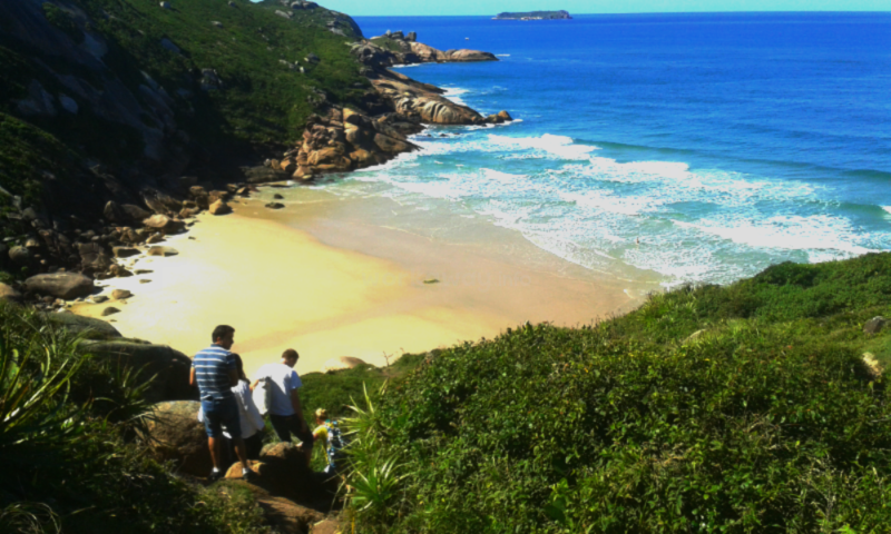 Help in my peaceful eco friendly hostel in Florianópolis ...