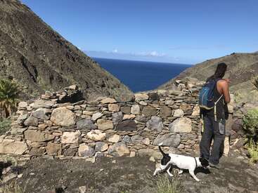 The image depicts a man with a backpack and a dog standing in front of a stone wall, overlooking a vast body of water and a mountainous landscape under a clear blue sky.