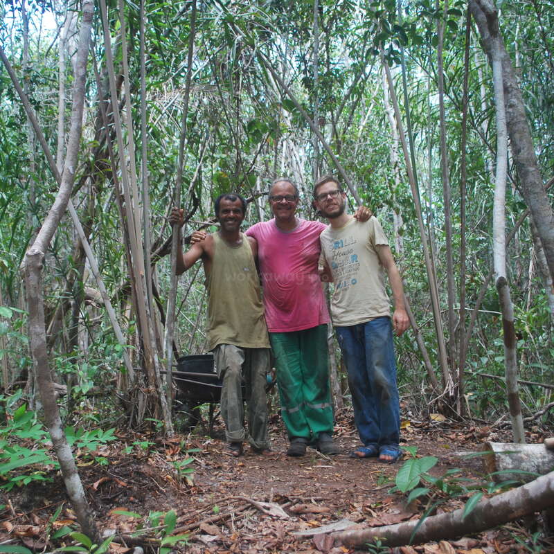 Das Bild zeigt drei Personen, die vor einem Wald stehen, mit Bäumen und Laub im Hintergrund. Die Personen sind leger gekleidet, und die Szene scheint eine natürliche Umgebung zu sein.