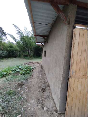 Un bâtiment rustique avec un toit en tôle et une porte en bois est entouré d'un chemin de terre naturel et d'un jardin verdoyant, avec des bambous et des arbres à proximité.