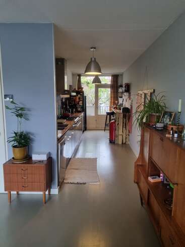 The image depicts a modern kitchen with wooden cabinets, a central island, and a doorway leading to a patio, featuring a plant and a hanging light fixture.
