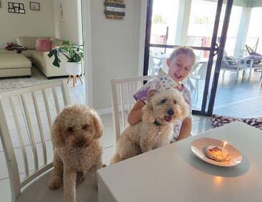 A girl celebrates with two happy poodle dogs at a table. One dog wears a birthday hat, and a treat with a candle is on a plate.