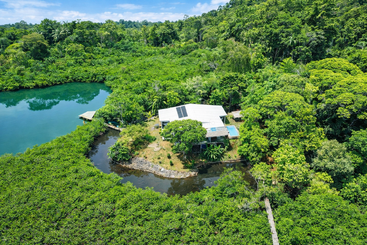 A remote house with solar panels is nestled among lush green forest, surrounded by water, vibrant vegetation, and a peaceful blue lagoon under a sunny sky.