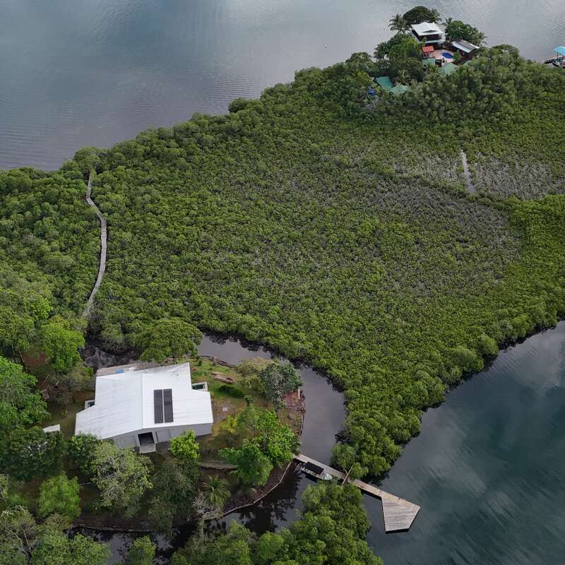 An aerial view shows a modern white house near water, surrounded by dense green mangroves, with wooden walkways leading to another property across the water.