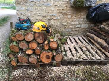 Ein Stapel frisch geschnittener Baumstämme liegt auf einer Holzpalette neben einer Steinmauer, auf der ein gelber Schutzhelm und eine Makita-Kettensäge liegen.