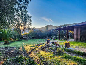 A tranquil backyard with lush greenery, potted plants on a wooden deck, brick house, palm tree, mountains in the background, and sunlight streaming through trees.
