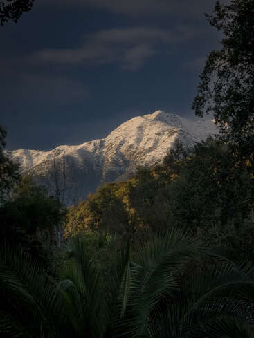 A majestic snow-capped mountain rises under a dramatic dark sky, framed by lush green trees and palm leaves, creating a striking contrast in the landscape.