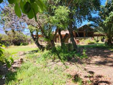 A rustic house stands partially hidden behind leafy green trees and shrubs under bright sunlight, surrounded by a lush, peaceful garden and open natural landscape.