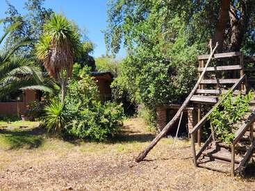 A sunlit backyard scene with lush green trees, tropical plants, a small wooden treehouse, and a rustic shed. The area appears peaceful and inviting.