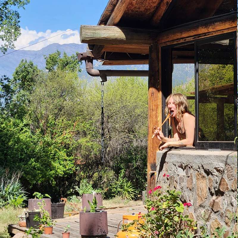A woman leans out a rustic wooden house window, enjoying the sunshine while brushing her teeth. Lush green garden and mountains create a serene, natural backdrop.