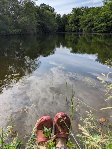 Eine friedliche Szene am See, mit ruhigem Wasser, in dem sich Bäume und Wolken spiegeln. Eine Person mit roten Schuhen sitzt am Ufer, umgeben von grünem Gras und Pflanzen.