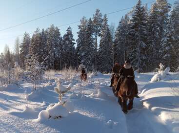 Tres personas montan a caballo por un camino forestal nevado en un soleado día de invierno. La nieve cubre los árboles y el suelo, creando una escena tranquila, pintoresca y serena.