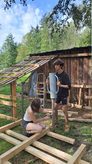 Un hombre y una mujer están construyendo una estructura de madera al aire libre, utilizando herramientas. Hay una escalera detrás de ellos y los árboles rodean la escena rústica, bajo un cielo azul.