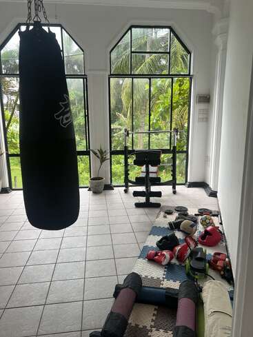 A bright home gym with large windows, a punching bag, various boxing gloves, weights, exercise mats, a bench, indoor plants, and lush greenery outside.
