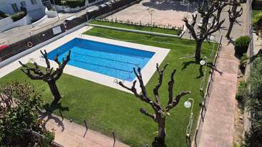 Cette image montre une piscine rectangulaire entourée d'une pelouse bien entretenue, de trois arbres taillés, de sentiers à proximité et de lampadaires blancs, le tout délimité par une clôture dans un endroit ensoleillé.