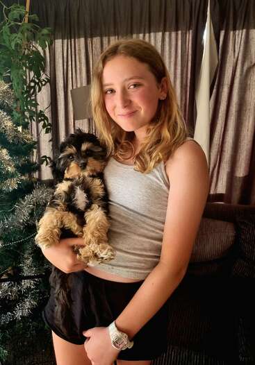 Uma menina sorridente, de cabelos loiros, segura um cachorrinho fofinho preto e castanho. Elas estão dentro de casa, perto de uma árvore de Natal enfeitada, com a luz do sol entrando pelas cortinas.