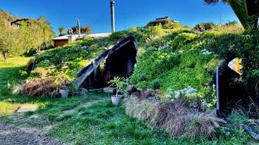 This image shows a hobbit-like house built into a green, grassy hill, with plants covering the roof, potted plants outside, and a bright blue sky.