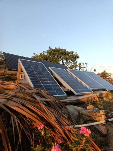Vários painéis solares são montados ao ar livre em molduras de madeira, cercados por vegetação, pedras e flores cor-de-rosa. A cena é clara e ensolarada, com um céu limpo.