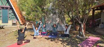 Cinco personas están sentadas en colchonetas de yoga al aire libre, bajo los árboles, levantando los brazos en un apacible entorno exterior con cabañas y naturaleza a su alrededor.