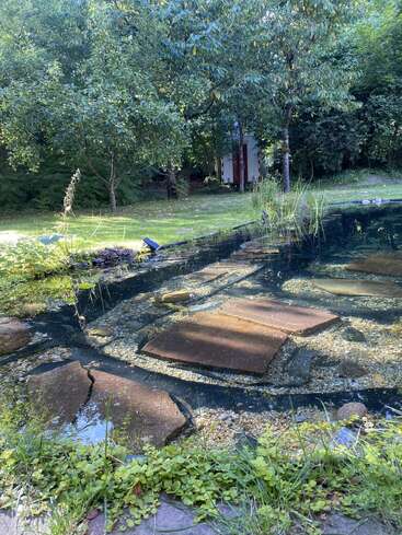 A tranquil garden pond with stone slabs submerged under clear water, surrounded by lush green grass, trees, and a small white shed in the background.