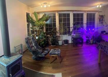 A cozy living room features a soft chair and footrest, many potted plants, large windows, wooden floors, purple grow lights, and a wood-burning stove.