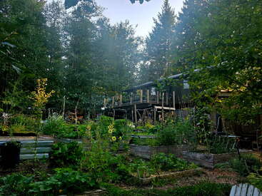 A lush garden with raised beds is surrounded by dense trees. In the background, a rustic wooden house with a balcony blends into nature peacefully.