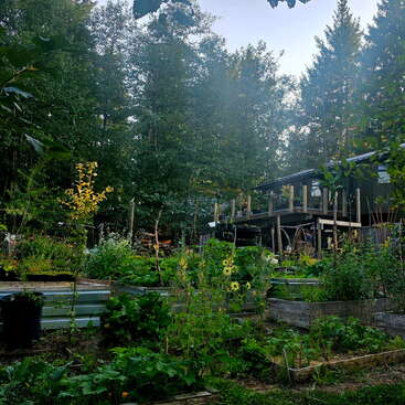 A lush garden with raised beds is surrounded by dense trees. In the background, a rustic wooden house with a balcony blends into nature peacefully.