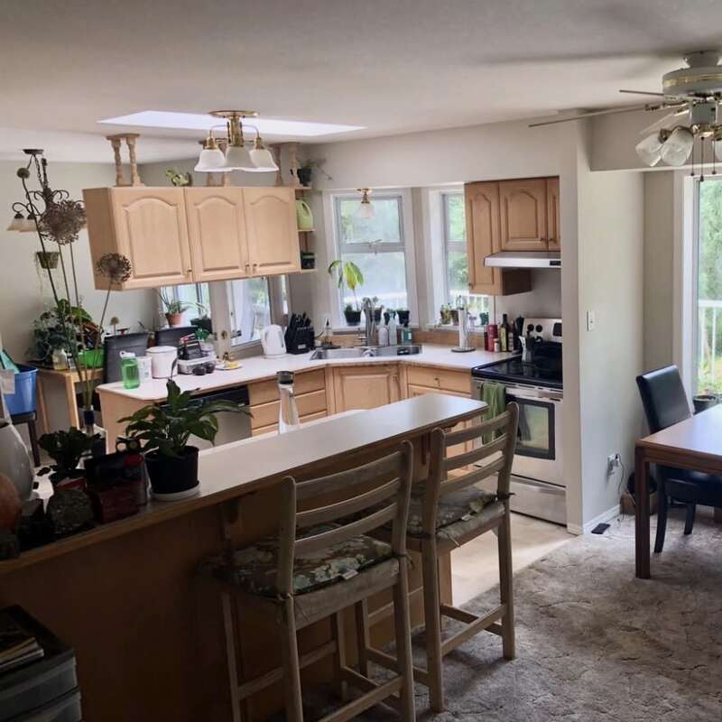 This cozy kitchen features light wood cabinets, bar seating, numerous houseplants, a dining table, ample appliances, large windows providing natural light, and overall inviting, homey atmosphere.