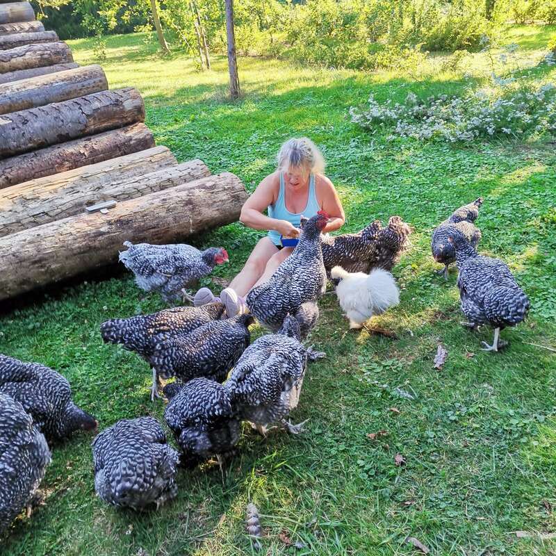 Eine Frau sitzt im Gras neben großen Baumstämmen, umgeben von mehreren schwarz-weißen Hühnern und einem flauschigen weißen Huhn, und genießt die sonnige, grüne Umgebung.