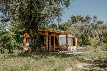 Une confortable cabane en bois avec une extension en forme de yourte repose paisiblement au milieu de grands arbres et d'une végétation luxuriante, baignée par la lumière du soleil sous un ciel bleu limpide. La nature nous entoure.