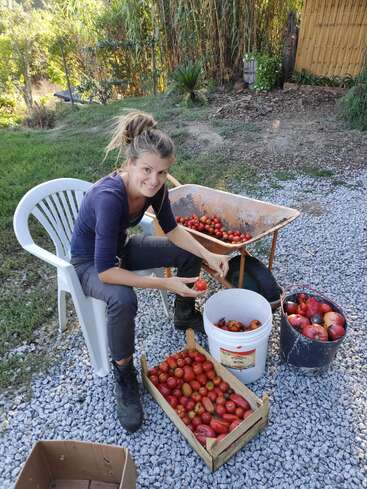 Une femme est assise sur une chaise blanche en plein air, triant des tomates fraîchement récoltées dans des seaux et des caisses, entourée de verdure et d'outils de jardinage, et souriant à l'appareil photo.