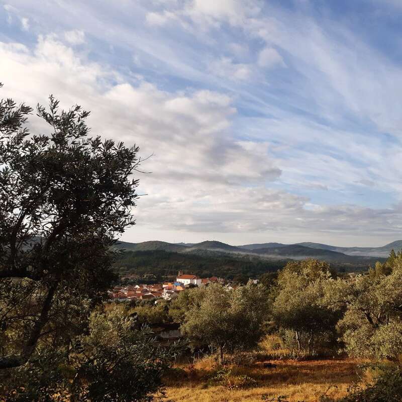 The image depicts a serene landscape featuring a small town nestled among trees and rolling hills, set against a blue sky with white clouds.