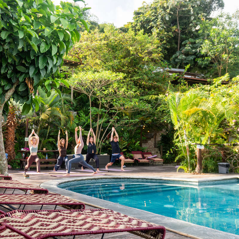Cinq personnes pratiquent le yoga au bord d'une piscine scintillante, entourées d'une végétation tropicale luxuriante. Des chaises longues invitant à la détente et une végétation aux couleurs vives créent une atmosphère sereine et revigorante en plein air.