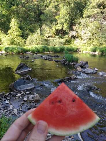 Eine Hand hält eine Scheibe Wassermelone mit einem Smiley-Gesicht im Vordergrund, neben einem friedlichen Bach, umgeben von üppigen grünen Bäumen und Felsen.